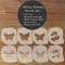 Butterfly Face Painting Stencil Set | Perfect for Face Painting, Temporary Tattoos, Birthday Party | Designer Stencils |
